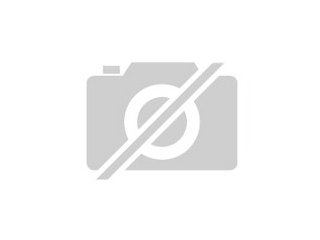 Verputz/regips suche auftrage